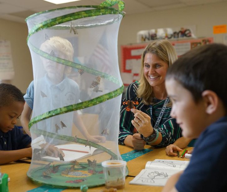 Butterfly School Kit