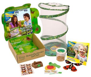 Insect Lore Butterfly Garden Gift Set