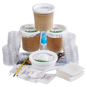 Nature Gift Store Live Butterfly Refill Kit